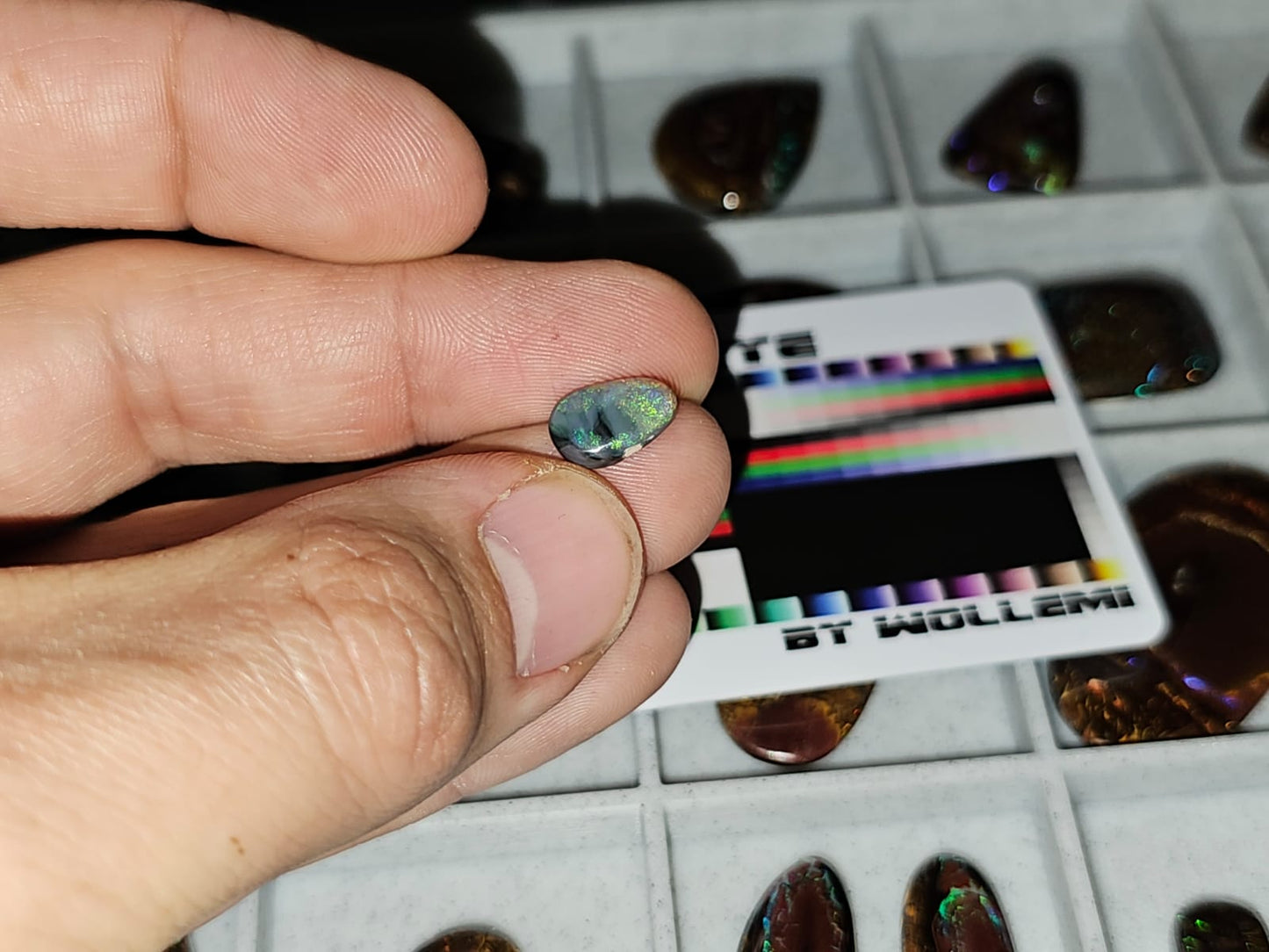 True to Eye by Wollemi - Colour accuracy card